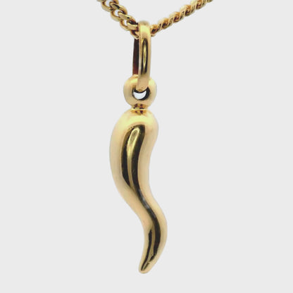 Pendentif en forme de corne italienne en or jaune 10 carats